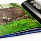 Maintain IV.V - Derailed Book & DVD Combo