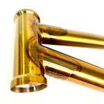 FIT Hango Frame Trans Gold